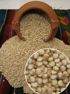 quinoa 7