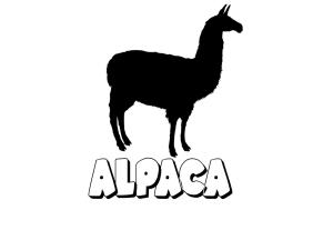 logo_alpaca_web
