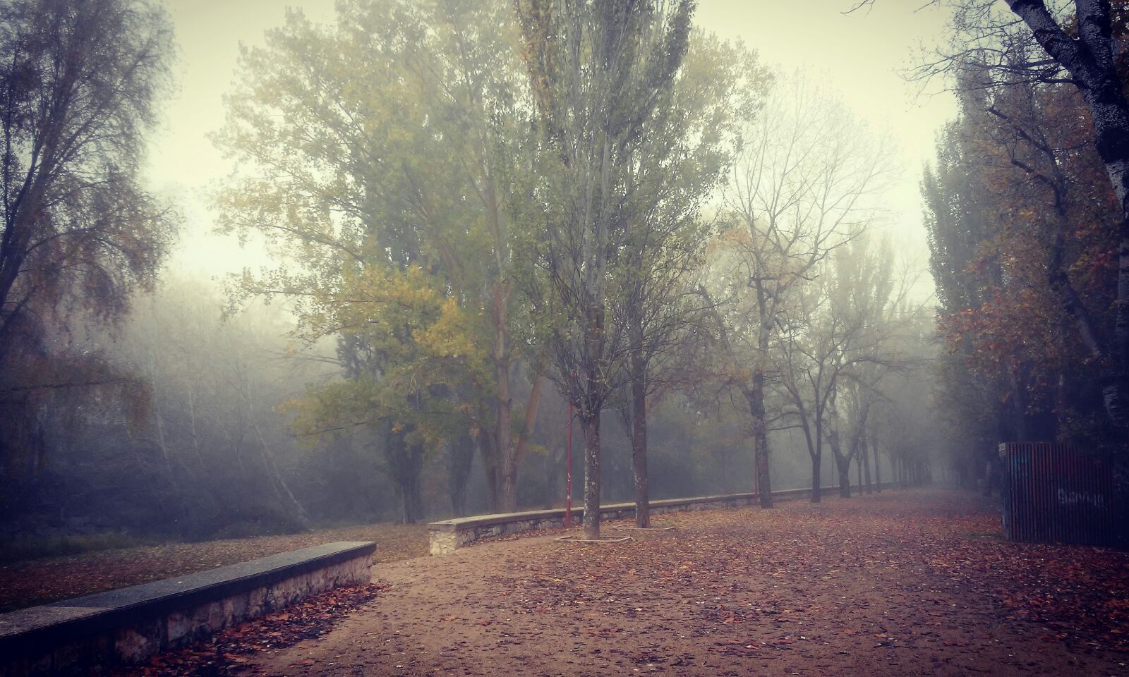 whatsapp-image-2016-11-22-at-22-20-10